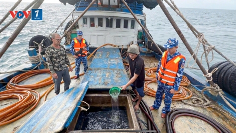 Cà Mau: Cảnh sát biển bắt tàu cá vận chuyển trái phép 100.000 lít dầu D.O