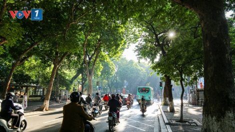 Thời tiết ngày 14/1: Bắc Bộ rét về đêm và sáng sớm; Nam Bộ nắng ấm