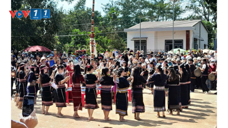 Hương lúa mới trên cao nguyên Đắk Lắk
