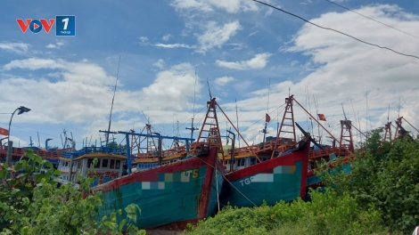 Đồng Tháp hỗ trợ ngư dân chuyển đổi nghề mức cao nhất đến 350 triệu đồng/tàu cá