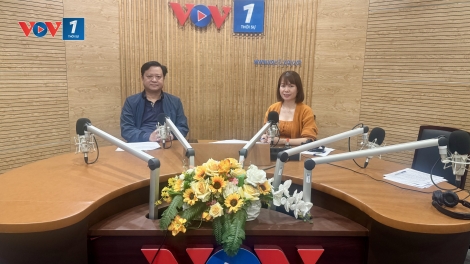 Từ vụ người giúp việc bạo hành cụ 82 tuổi ở Hà Nội: Đừng phó mặc cha mẹ cho người giúp việc