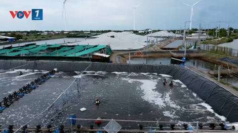 Vĩnh Long đặt mục tiêu sản lượng thủy sản trên 1 triệu tấn năm 2026