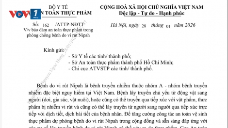 Bảo đảm an toàn thực phẩm trong phòng chống bệnh do vi rút Nipah