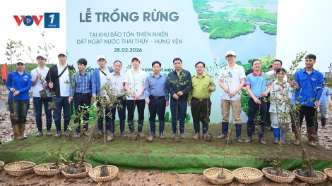 Trồng rừng ven biển: Doanh nghiệp đồng hành bảo vệ đa dạng sinh học