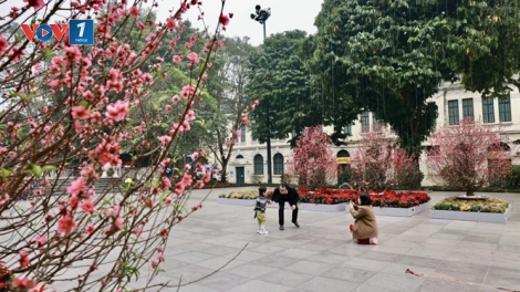 Thời tiết ngày 13/2/2026: Bắc Bộ mưa rải rác, trưa chiều hửng nắng