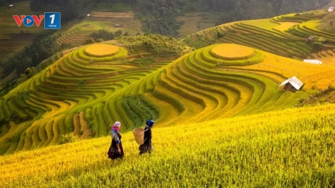 Bản tin 9h 9/2/2026