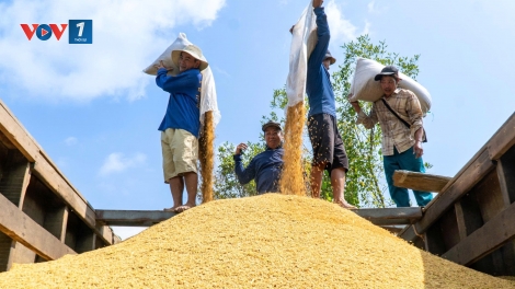 Nông sản Việt hướng tới giá trị, thị trường và bền vững.