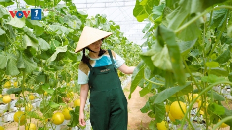 Sức sống từ những nông trại 4.0 (23/02/2026)