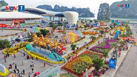 Thời sự 21h30 19/2/2026: Khởi sắc đầu năm, du lịch Việt Nam tự tin bước vào vận hội mới