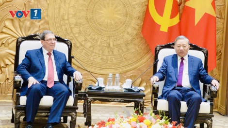 Tổng Bí thư Tô Lâm tiếp Đặc phái viên Đảng, Nhà nước Cuba thăm Việt Nam