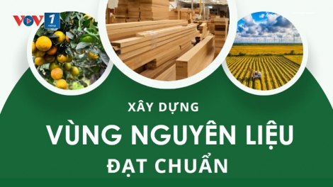 Vùng nguyên liệu - giải pháp tăng tính cạnh tranh của nông sản