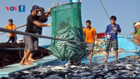 Cùng ngư dân ra biển lớn