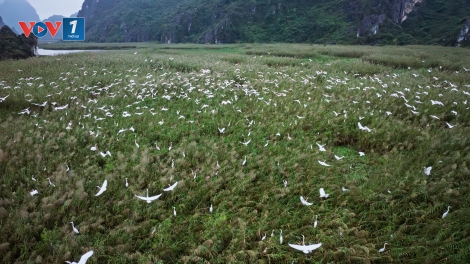 Đức hỗ trợ Việt Nam thúc đẩy quản lý tổng hợp các khu bảo tồn 