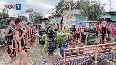 Theo dòng thời sự sáng 8/2/2026