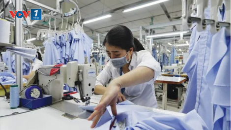 Hàng Việt tăng tốc vào thị trường Mỹ