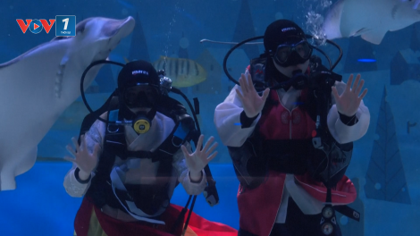 Thợ lặn Hàn Quốc mặc hanbok chúc Tết Nguyên đán dưới nước tại thủy cung COEX Aquarium