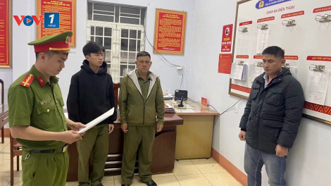 Khởi tố Giám đốc công ty sản xuất hơn 200 tấn lúa giống giả bán ra nhiều tỉnh thành