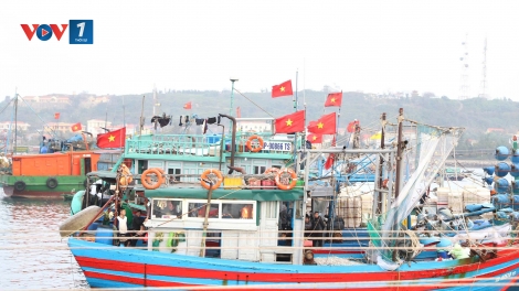 Xuân bình yên nơi đầu sóng