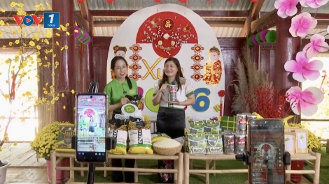 Xuân biên giới trong hương lúa mới