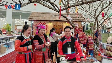 Không khí Xuân tại các gian hàng Hội chợ Mùa Xuân 2026