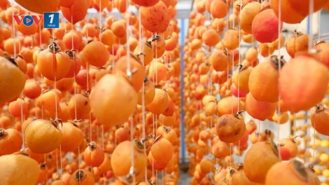 NỤ CƯỜI CỦA GIÓ