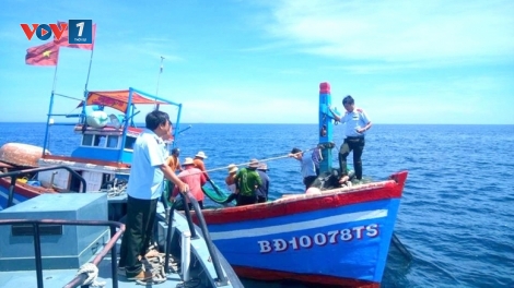Sau Tết, ngư dân hối hả “mở cửa biển” đón mùa cá mới (23+24/02)