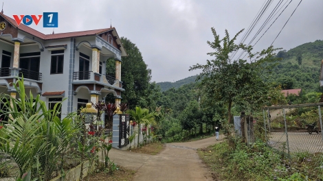 Người Dao Làng Câu đón Tết no ấm từ những đồi quế xanh