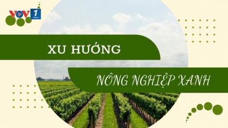 Nông nghiệp xanh – xu thế tất yếu