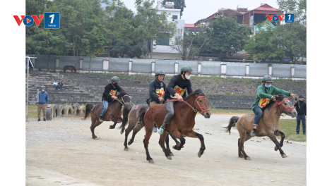 Tiếng vó ngựa gọi xuân trên cao nguyên trắng
