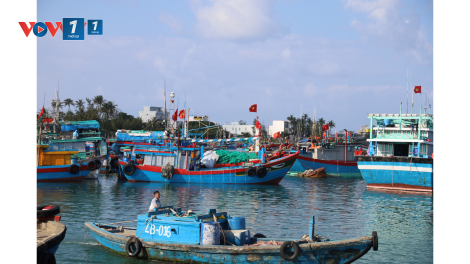 Quảng Ngãi tiếp sức ngư dân chuyển đổi nghề, giảm tàu nguy cơ cao