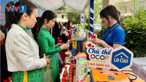 Hà Nội phối hợp 26 địa phương xây dựng gần 1.400 chuỗi thực phẩm an toàn