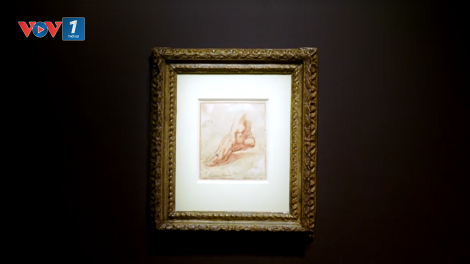 Bản phác thảo hiếm hoi của danh họa Michelangelo