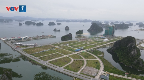Xuân mới ở đặc khu Vân Đồn