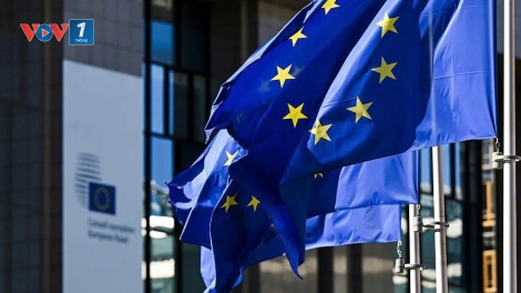 EU tìm cách tăng sức cạnh tranh: Đức kêu gọi bãi bỏ quy định, Pháp thúc đẩy liên minh năng lượng