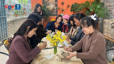 Thú chơi hoa thuỷ tiên – nét thanh tao của người Hà Nội mỗi độ Tết về