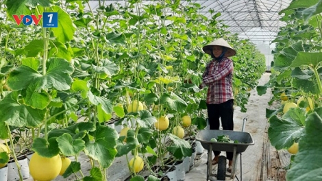 Đẩy mạnh liên kết chuỗi, gia tăng giá trị nông sản (13/03/2026)