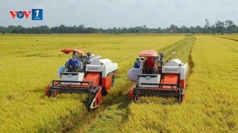 Bản tin 9h 12/3/2026