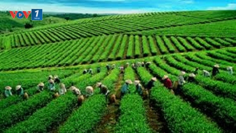 Thái Nguyên: Chương trình OCOP lan tỏa giá trị nông sản (30/03/2026)