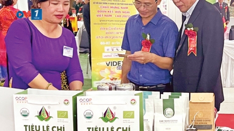 Chuẩn hóa sản xuất để khẳng định vị thế nông sản Việt