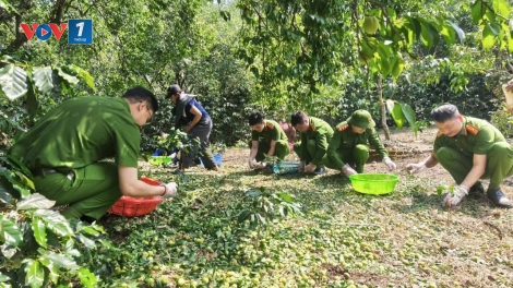 Chiềng An: Chung tay khắc phục thiệt hại do mưa đá