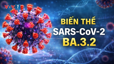 Bản tin 15h 31/3/2026