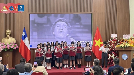 55 năm quan hệ Việt Nam - Chile: Hơn nửa thế kỷ hợp tác bền chặt
