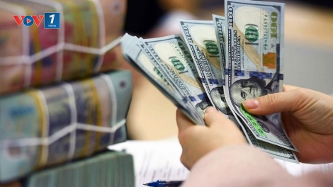 Đồng USD biến động tạo áp lực lên doanh nghiệp Việt Nam- Những khuyến nghị về quản trị dòng tiền.