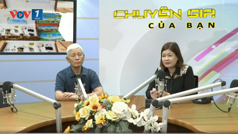 Cứu ngải bằng máy- xu hướng chăm sóc sức khỏe chủ động
