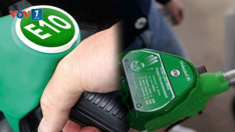 Đẩy nhanh lộ trình Xăng E10, phát triển NLSH: Lợi ích “3 trong 1”