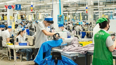 Ngành dệt may trước bài toán tự chủ nguyên liệu