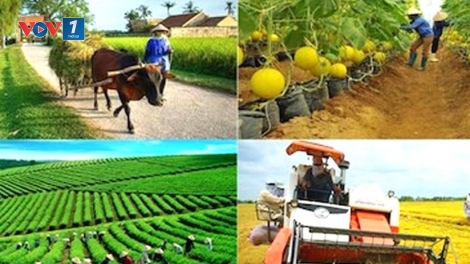 Nông nghiệp thích ứng trước tác động từ xung đột Trung Đông