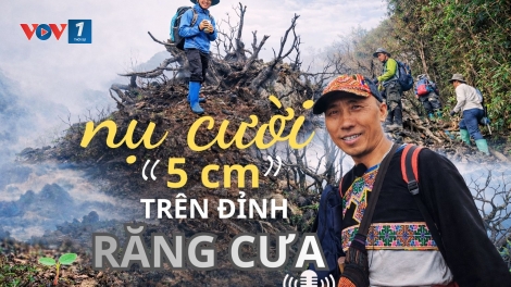 Nụ cười 5 centimet trên đỉnh Răng Cưa