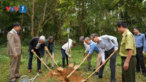 Ngày Quốc tế về Rừng 2026: Rừng và Phát triển Kinh tế Bền vững