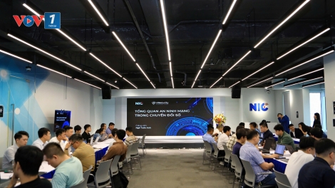 Hơn 550.000 cuộc tấn công mạng: Cấp thiết đào tạo an ninh mạng